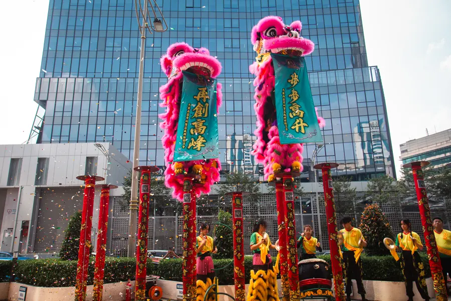 ROCA Chinese New Year — Event, image 7 of 15